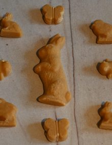 Maple Candy Spring Collection